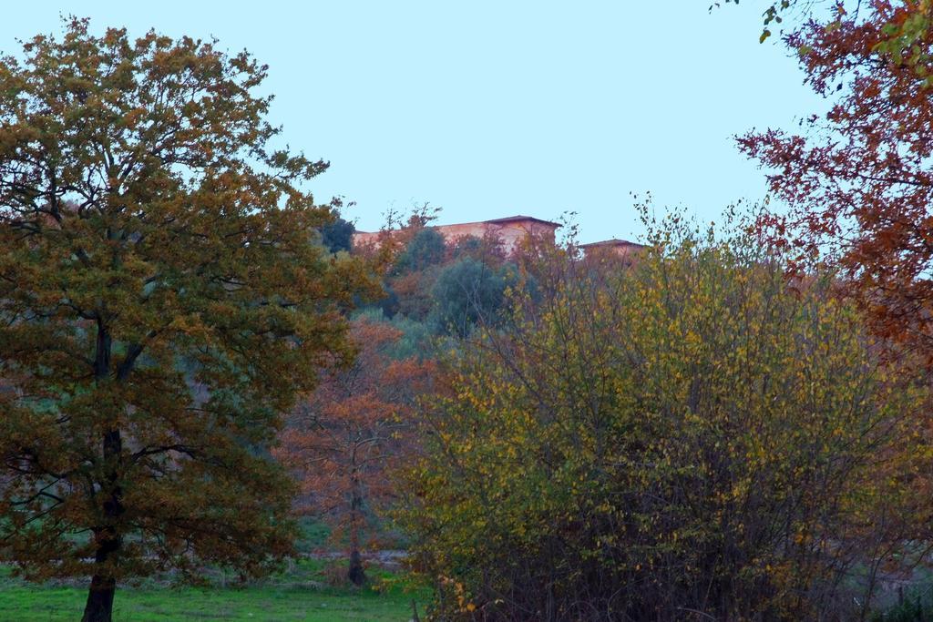 Agroturismo Tenuta Monte La Guardia Castel Giuliano